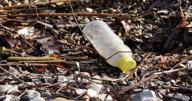 Переработка бутылки ПЕТ